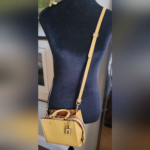 Coach Rogue 17 in Original Natural Leather: Brass/Carrot - Picture 11 of 13